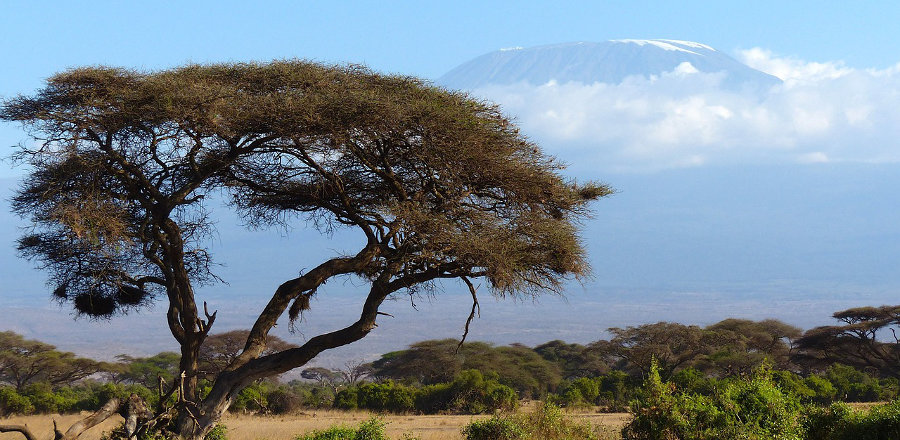 Chasing Mercedes’ Ghost up Kilimanjaro